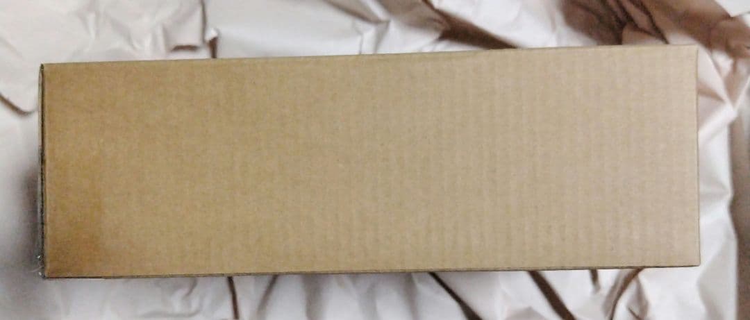 S.H.Figuarts　真骨彫製法　仮面ライダー1号（桜島Ver.）栄光の〜