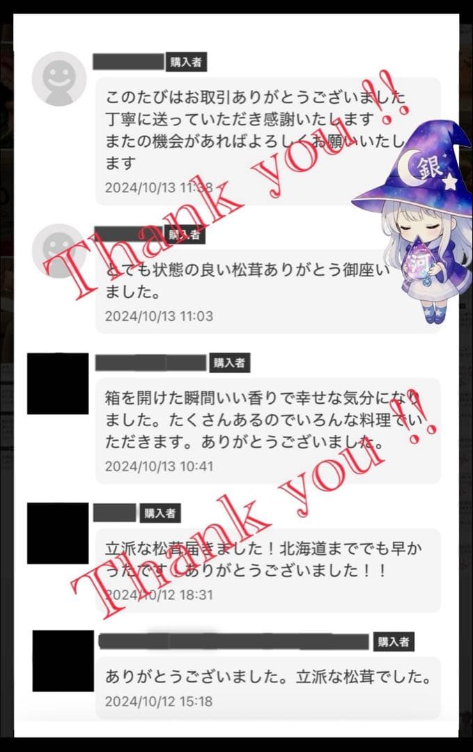 【大人気‼︎ 厳選 極上セット②】 390g本日採れ‼︎ 極上 松茸◆クール便発送◆