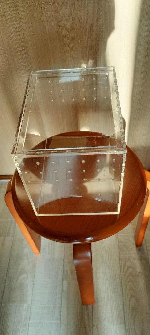 アクリル 虫かご 昆虫飼育ケース