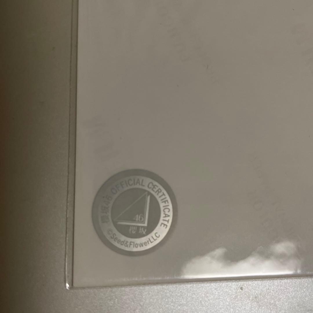 櫻坂46 山下瞳月　直筆　生写真