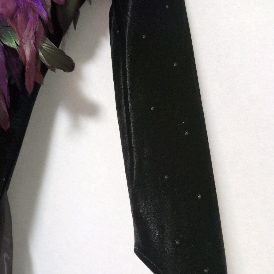 新品未使用★社交ダンス ドレス ✿ 羽根装飾　チャコット　ジャンティ　タカダンス