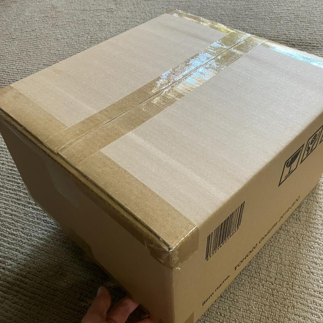 エクスプラス 東宝大怪獣シリーズ ゴジラ(2019) 少年リック限定版