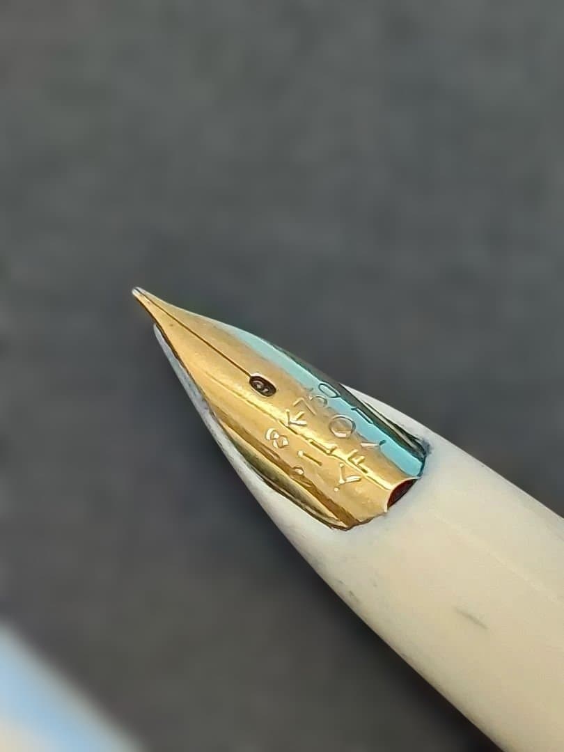 【M (プロフご一読下さい)】パイロット万年筆2本セット