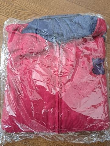 きゃるうぇあ 葛飾北斎 FGO パーカー