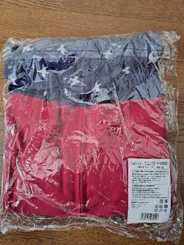 きゃるうぇあ 葛飾北斎 FGO パーカー