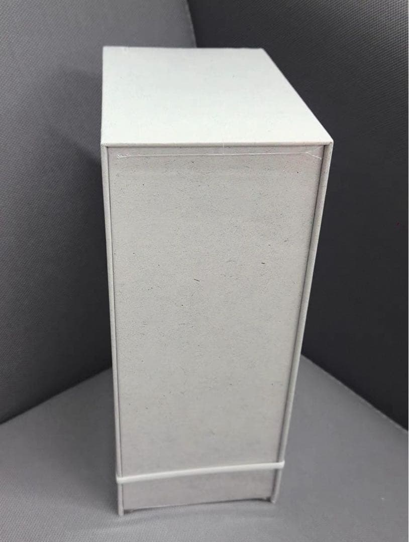 THE MONSTERS LABUBU 10周年記念展限定ぬいぐるみ