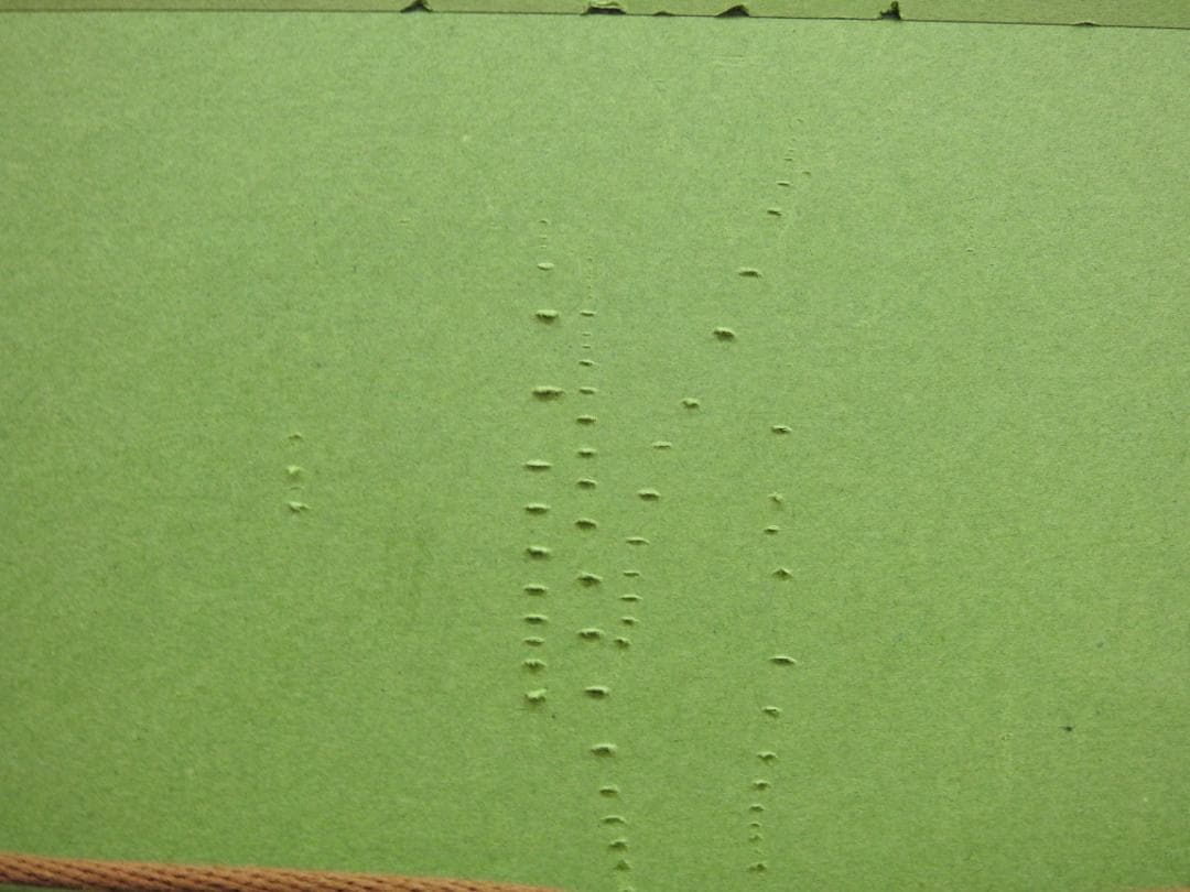 上村淳之　春声　28/100　箱有　MH1