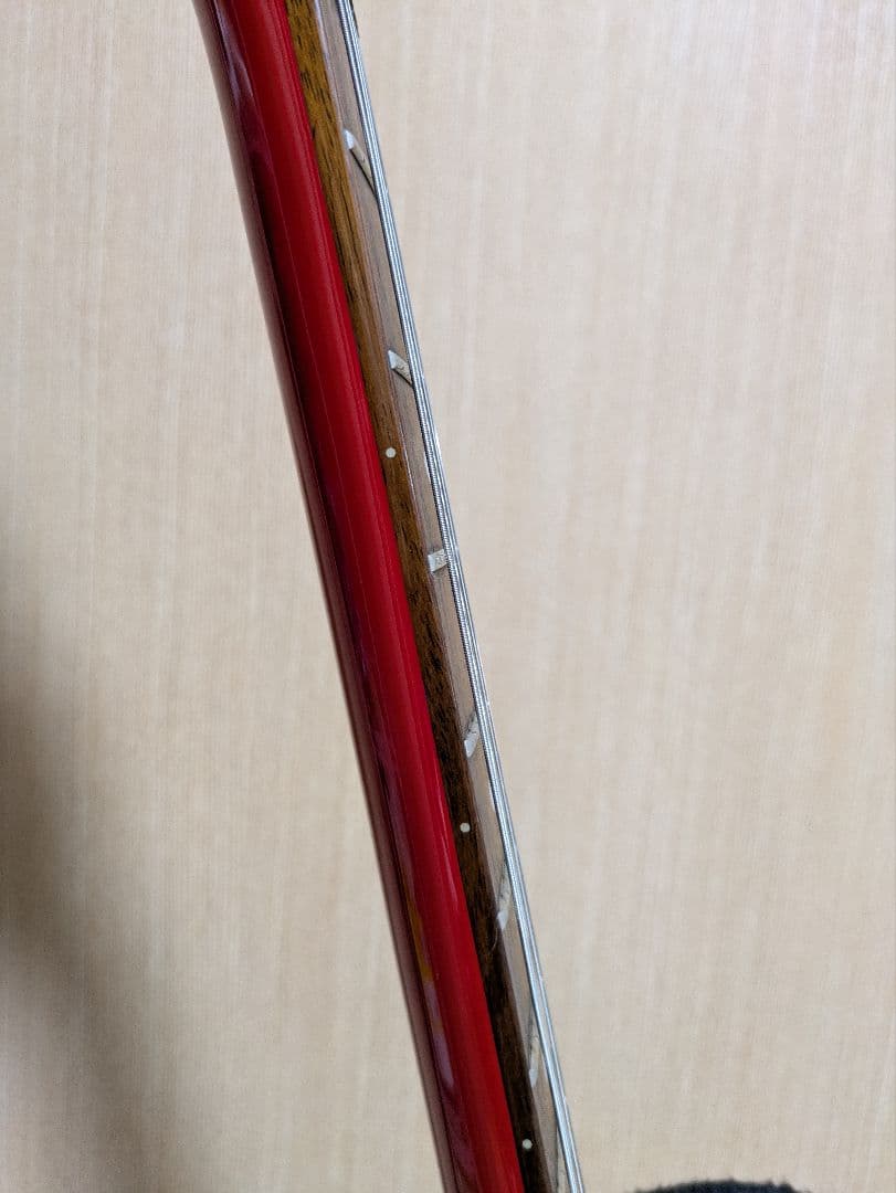 ギター Epiphone LS100