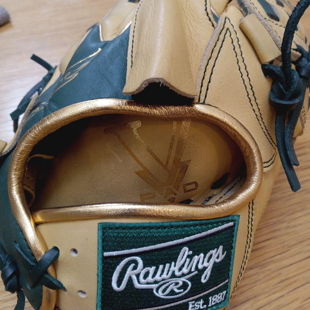 Rawlings The Gold Glove Series 軟式グローブ