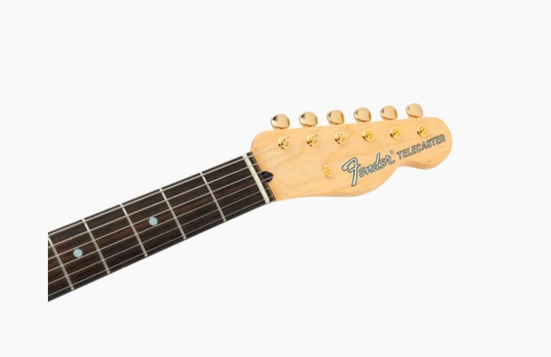 Fender ギター テレキャスター シンライン 原宿限定 ゴールドパーツ