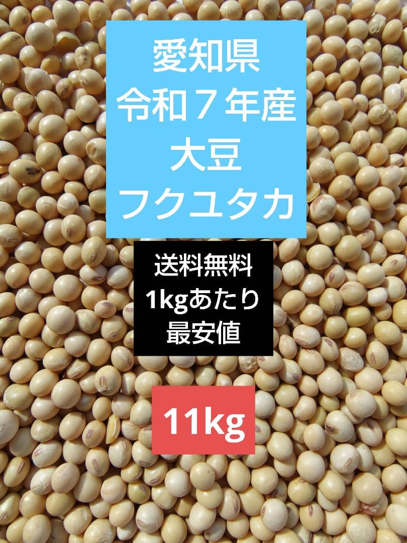令和7年産　大豆 フクユタカ 正味11kg　愛知県産