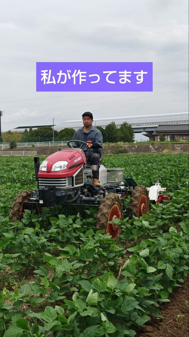 令和7年産　大豆 フクユタカ 正味11kg　愛知県産