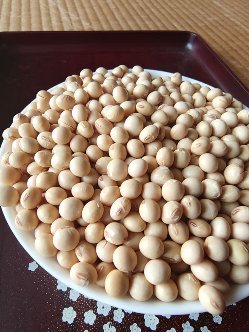 令和7年産　大豆 フクユタカ 正味11kg　愛知県産