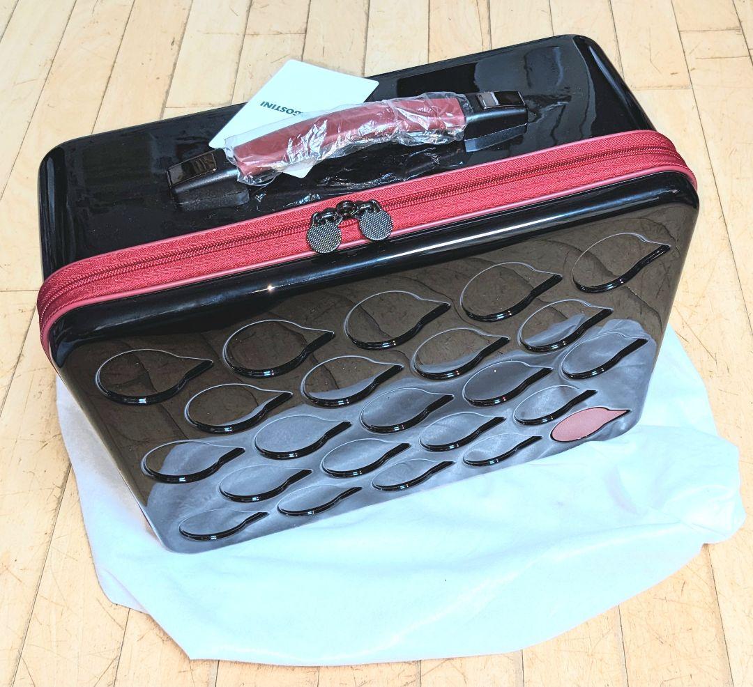 【限定モデル】初代Robi メーカー組立完成品 専用ケース付 希少 美品