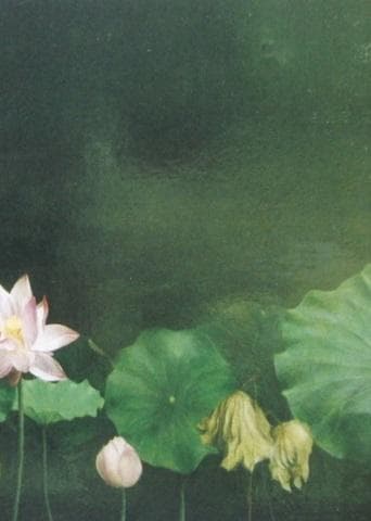 塩崎敬子、【コンポジション　蓮　I】、希少な額装用画集より、新品額装付