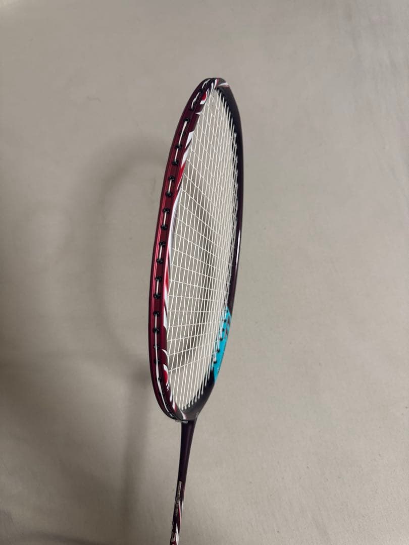 アストロクス100zz 3UG5 2本