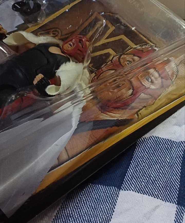 WWE　ビッグバンベイダー　フィギュア(訳あり)