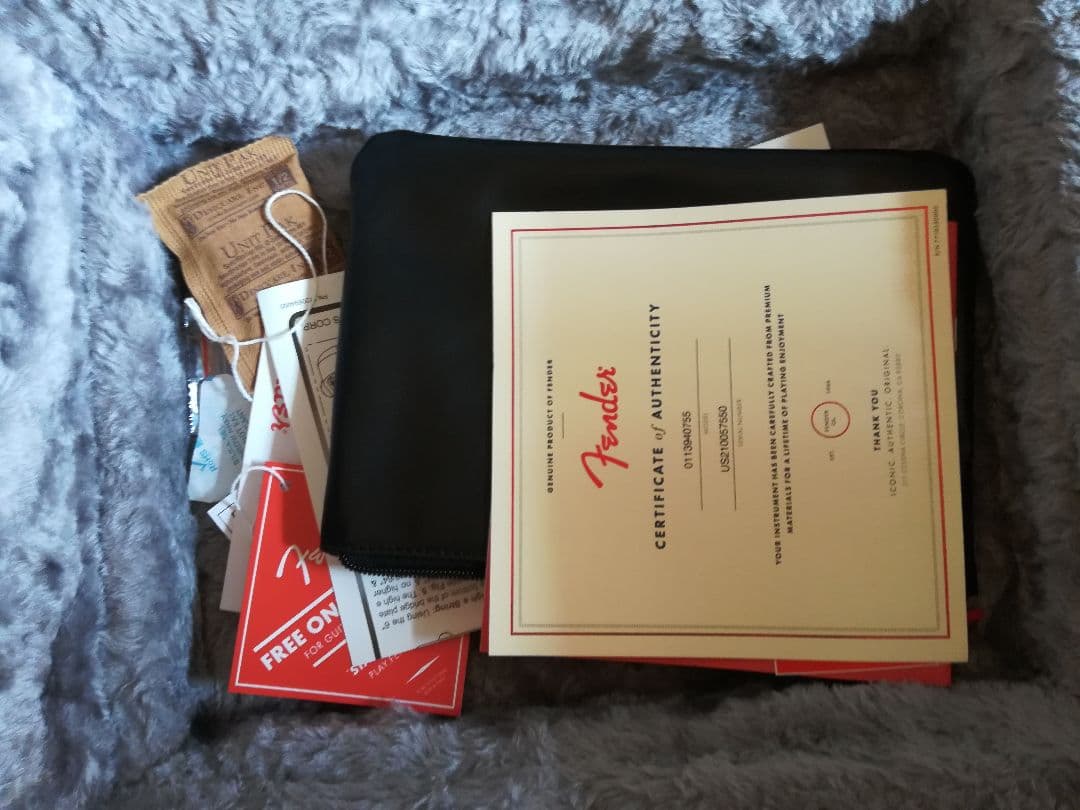 ギター American Professional II Telecaster