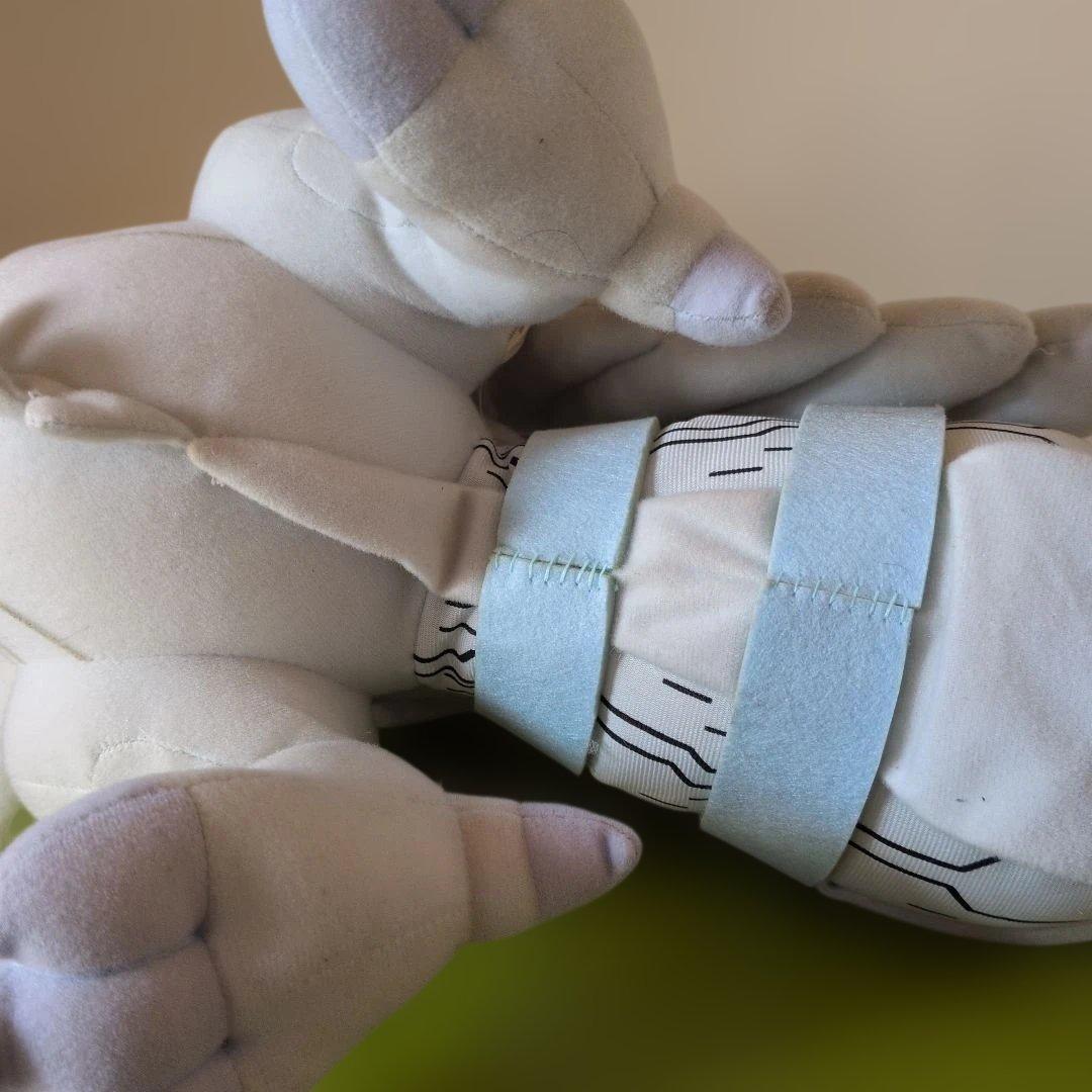 2010年 ポケモン レシラム ぬいぐるみ 一番くじ ベストウイッシュ