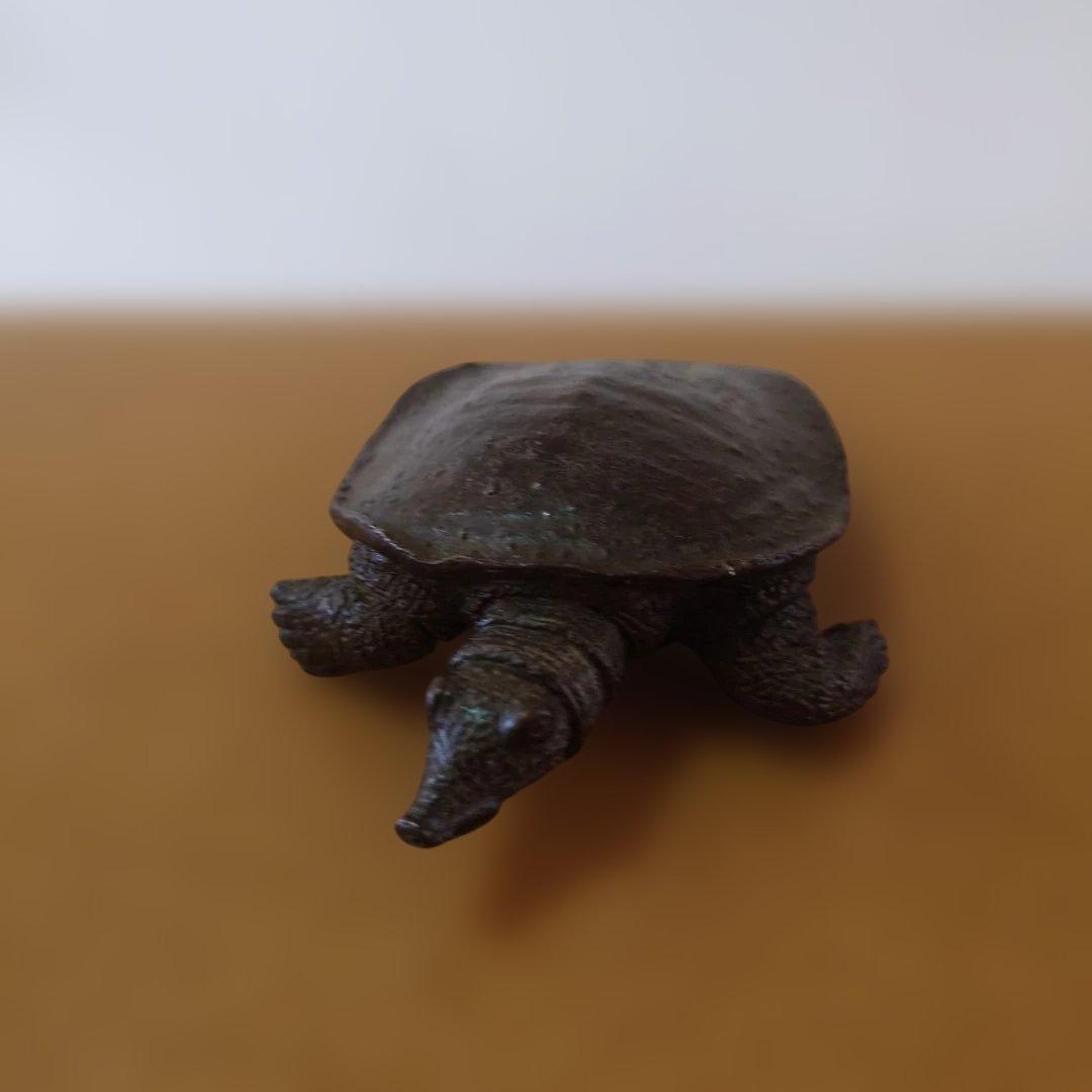 銅製　スッポン　在銘