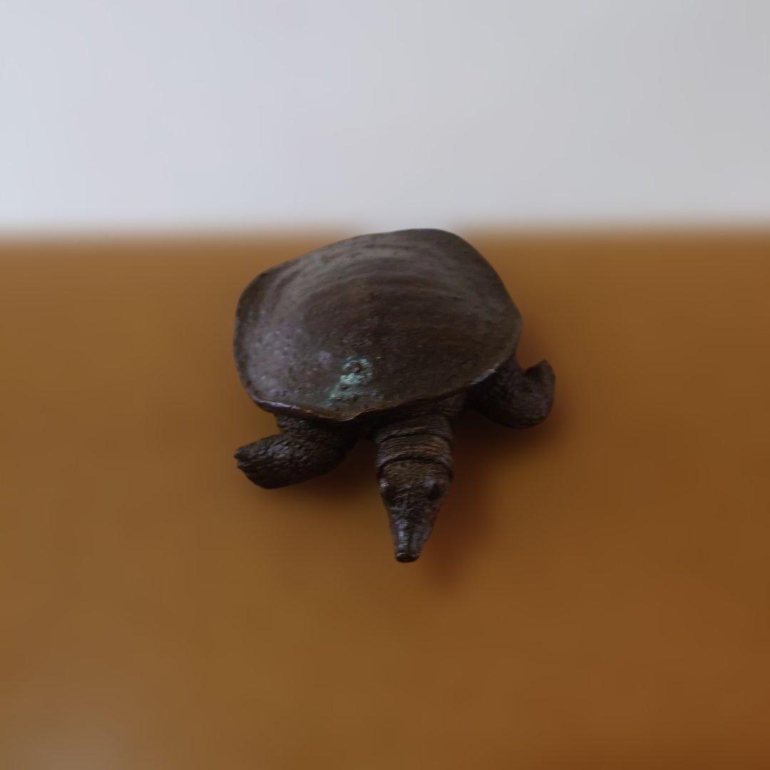 銅製　スッポン　在銘