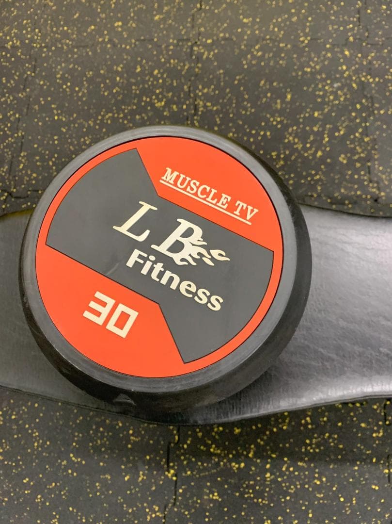 ラバーラウンドダンベル 30kg × 2個（合計60kg）