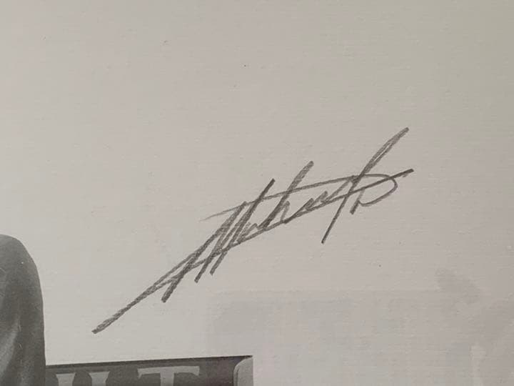 J.アレジ M.シューマッハ リトグラフ 1995 カナダGP ライドオン