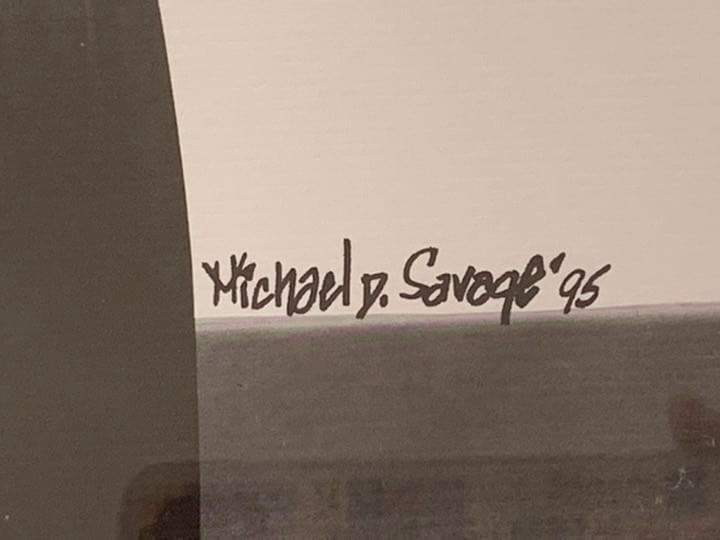 J.アレジ M.シューマッハ リトグラフ 1995 カナダGP ライドオン