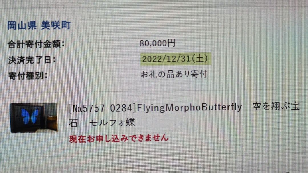 FlyingMorphoButterfly　空を翔ぶ宝石　モルフォ蝶