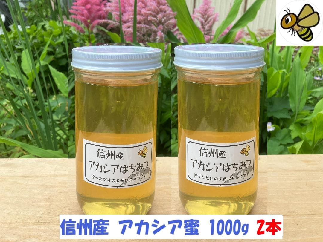 【令7新蜜】アカシア蜜 1000g 2本 長野県産 生はちみつ 西洋蜜蜂