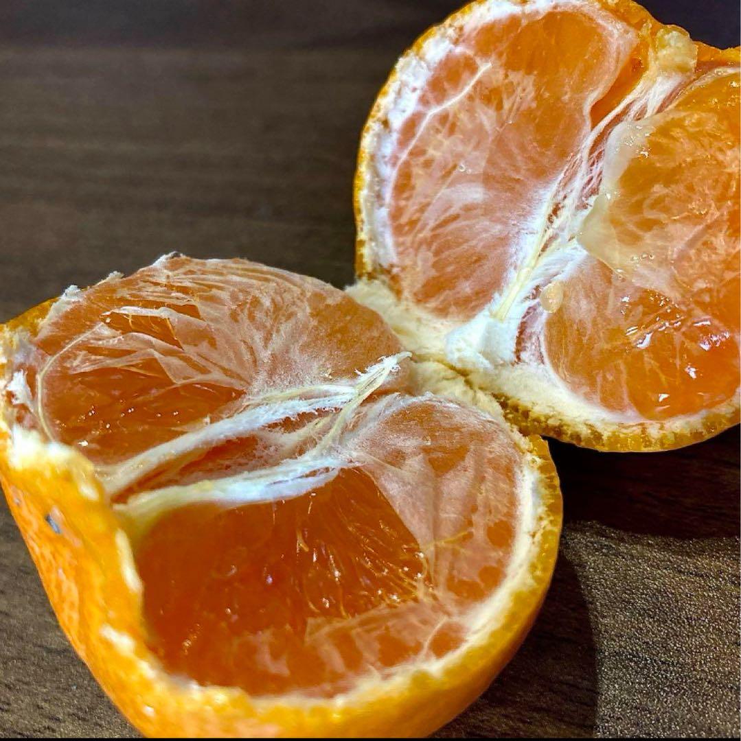 ①温州みかん 樹熟大坊みかん 優品(家庭用傷あり)2S、Sサイズ10kg