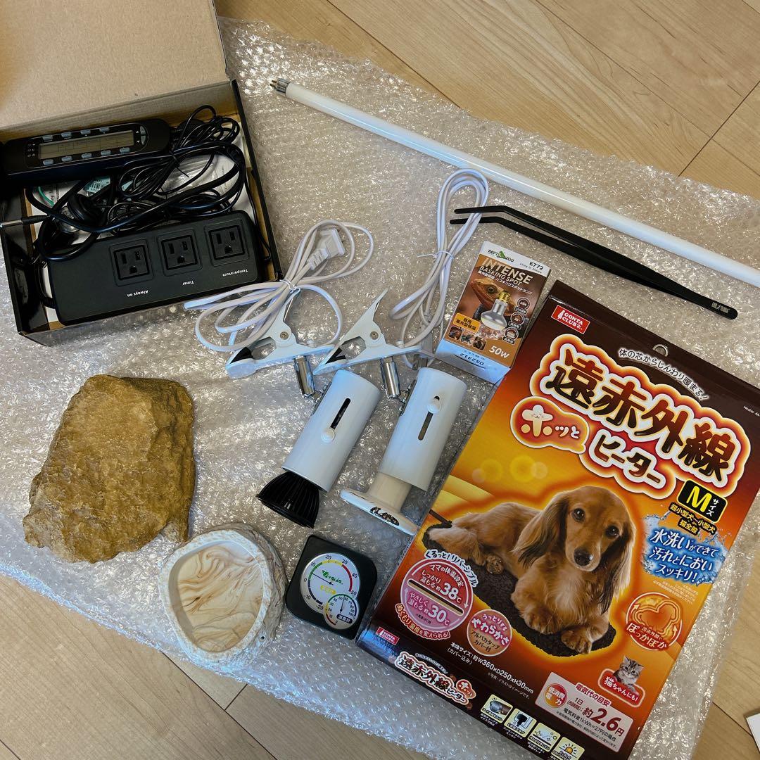 ポポのケージ　フトアゴヒゲトカゲ飼育　フルセット