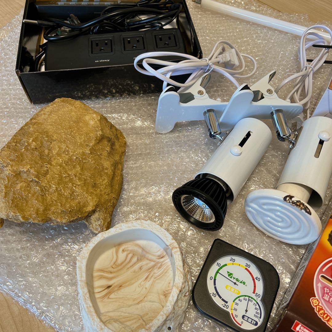 ポポのケージ　フトアゴヒゲトカゲ飼育　フルセット