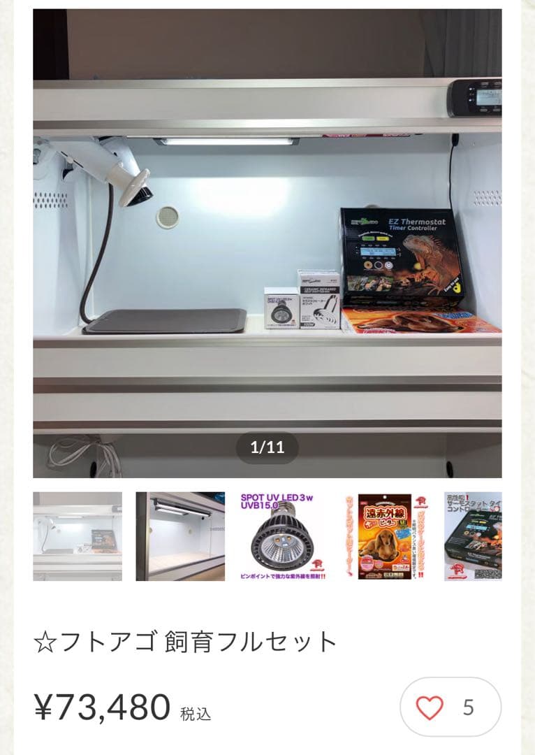 ポポのケージ　フトアゴヒゲトカゲ飼育　フルセット