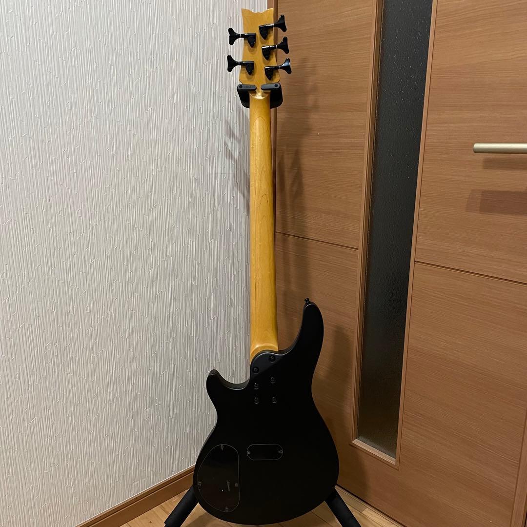 Schecter シェクター 5弦 アクティブ べース ダイアモンドシリーズ