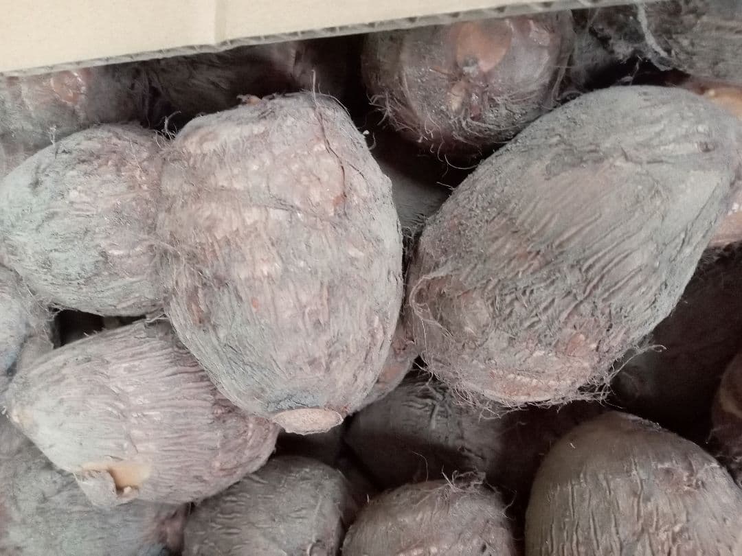 玉ねぎL13kg程度＆新潟産里芋5kg＆にんにく1kg＆シルクスイート10kg