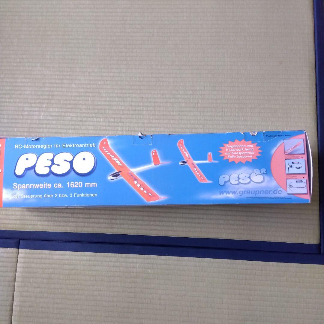 電動ラジコン飛行