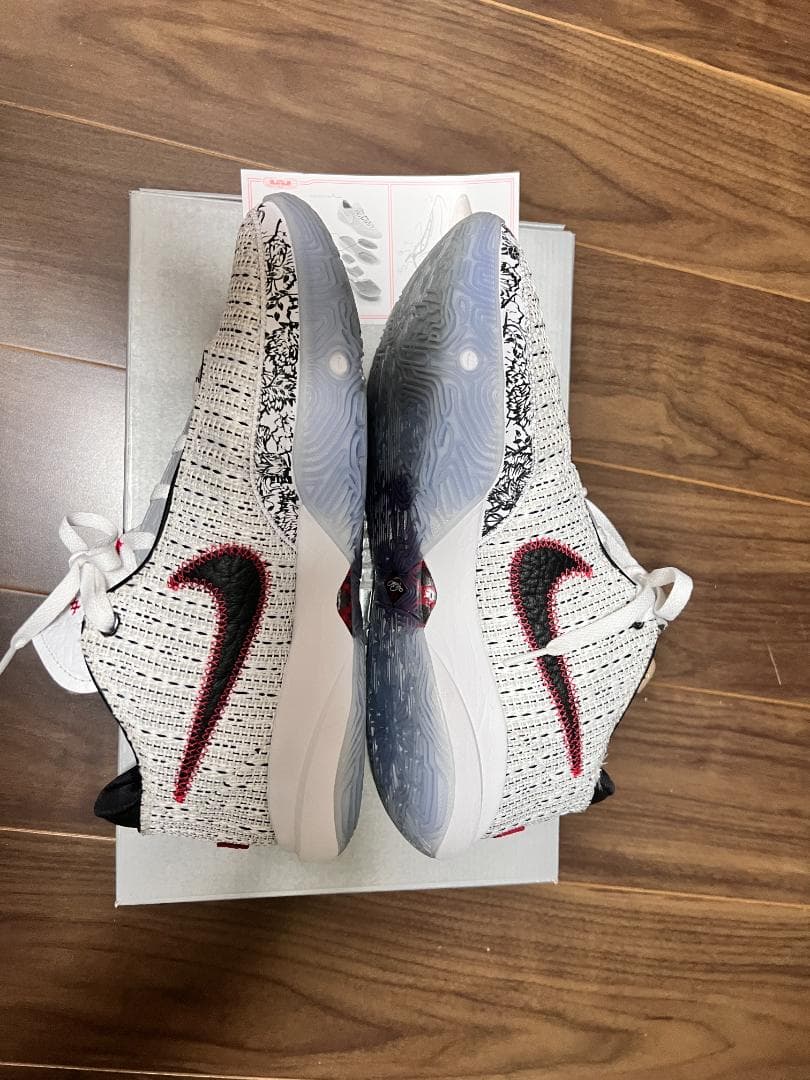 NIKE LEBRON 20 レブロンジェームズ