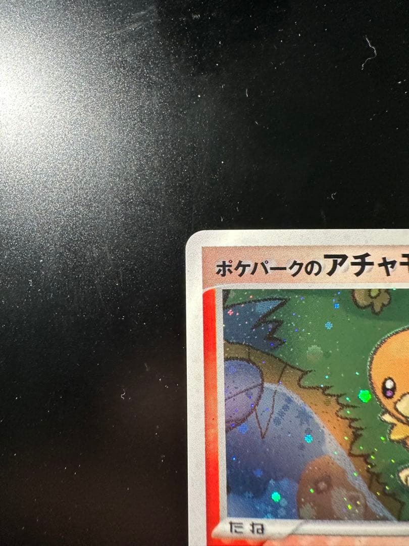 ポケパークのアチャモ　プレミアムファイル