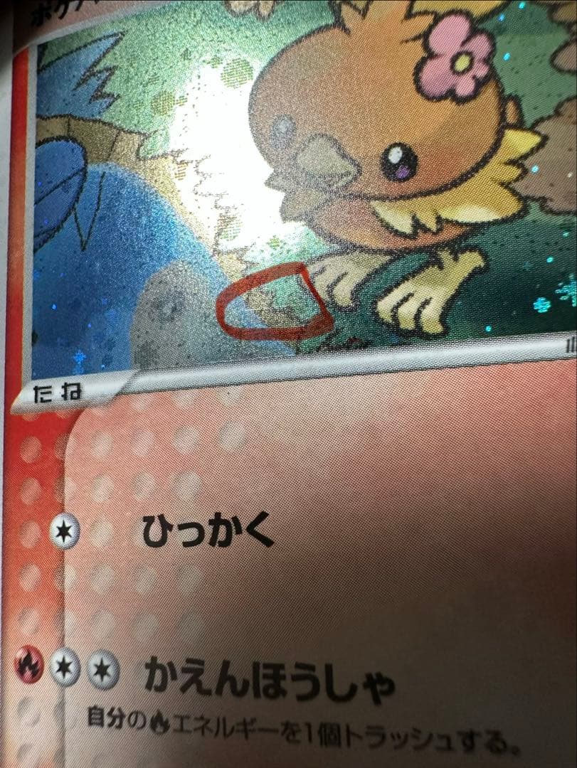 ポケパークのアチャモ　プレミアムファイル