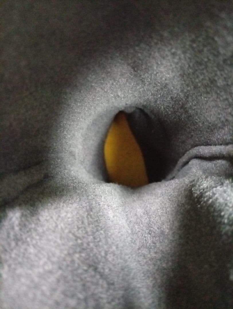 あ*こ様 NORDICA cruise NF5 スキー靴 27.0〜27.5cm