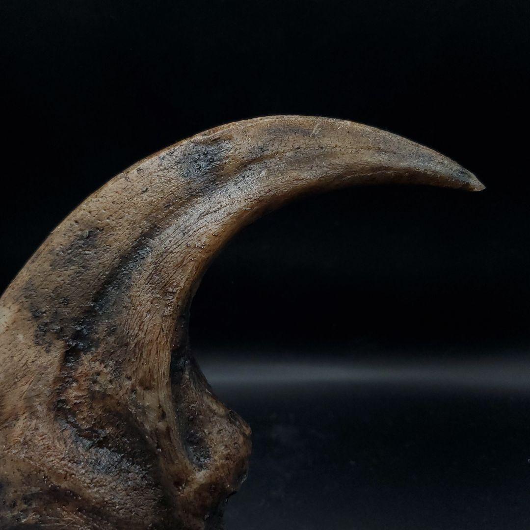 アロサウルス 爪 化石 レプリカ 約176.63mm  arr16