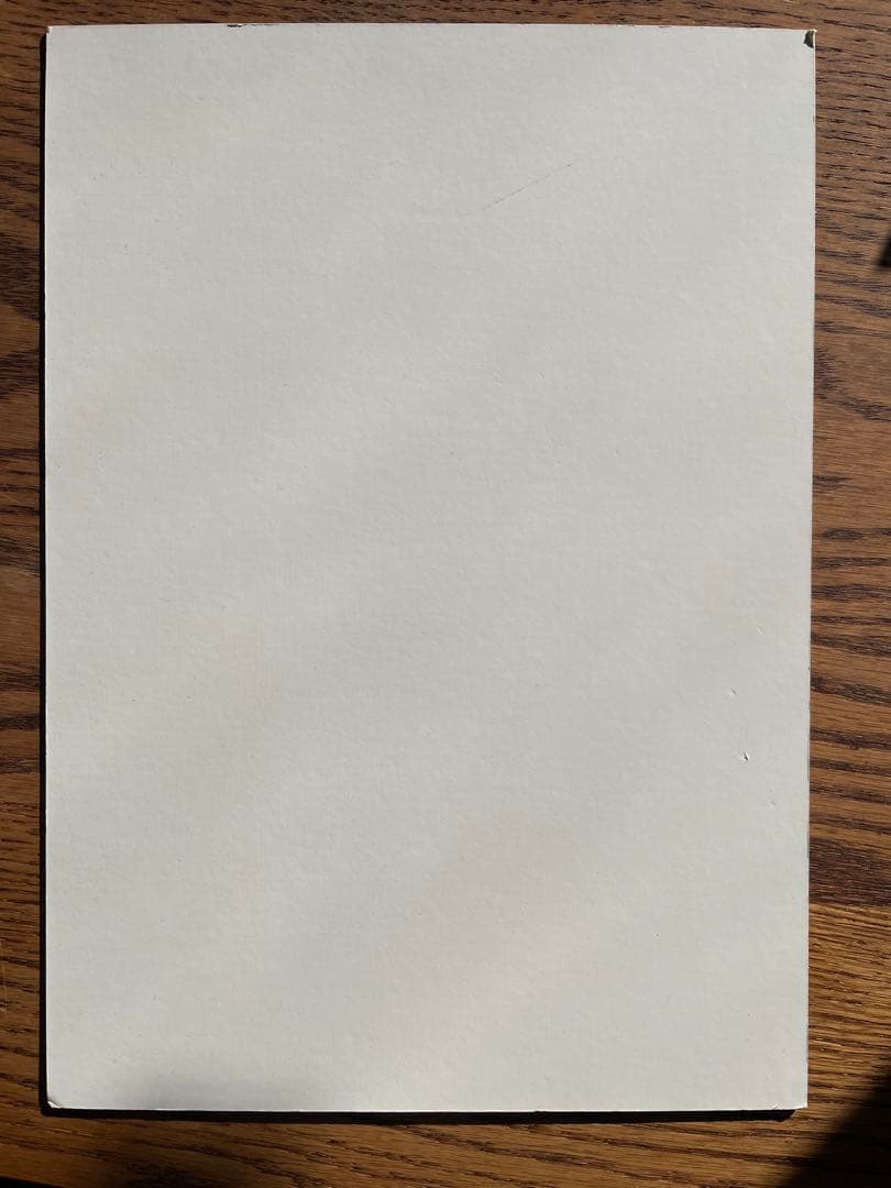 【非売品】ヒグチユウコ パネル29.5×21cm 展示用 希少 コレクター向け