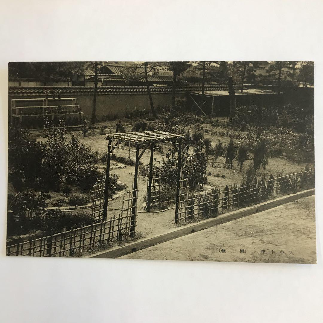 戦前絵葉書　京都　大谷中学校　5枚　正門　本館　図書室　運動場　野球　大正　昭和