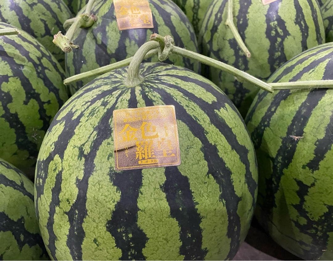 衝撃のサイズと甘さ、金色羅皇6L2玉セット24k前後箱込　かめまる食堂