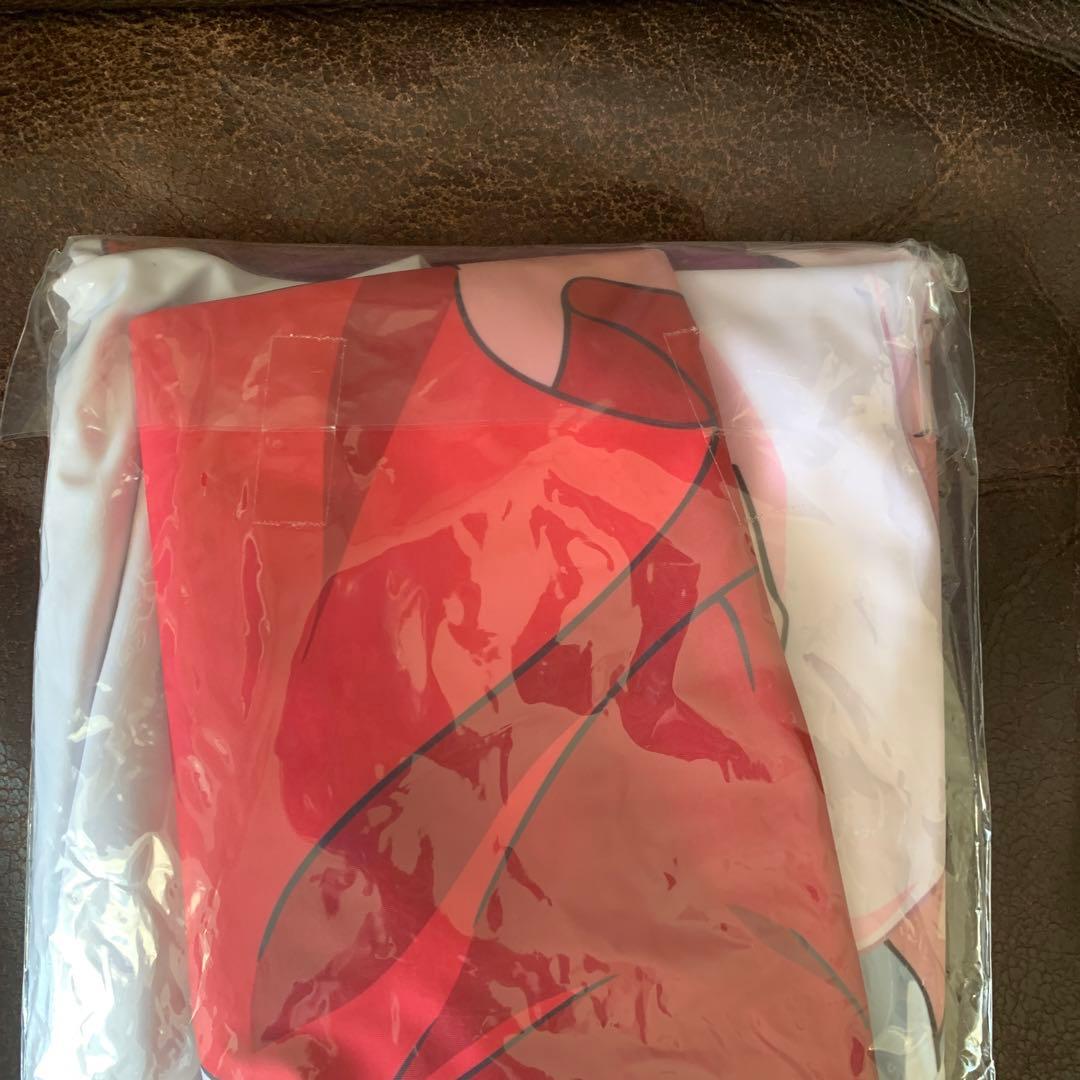 ゲゲゲ忌2023限定新品未開封廃盤ゲゲゲの鬼太郎猫娘抱き枕カバー 初回特限定版