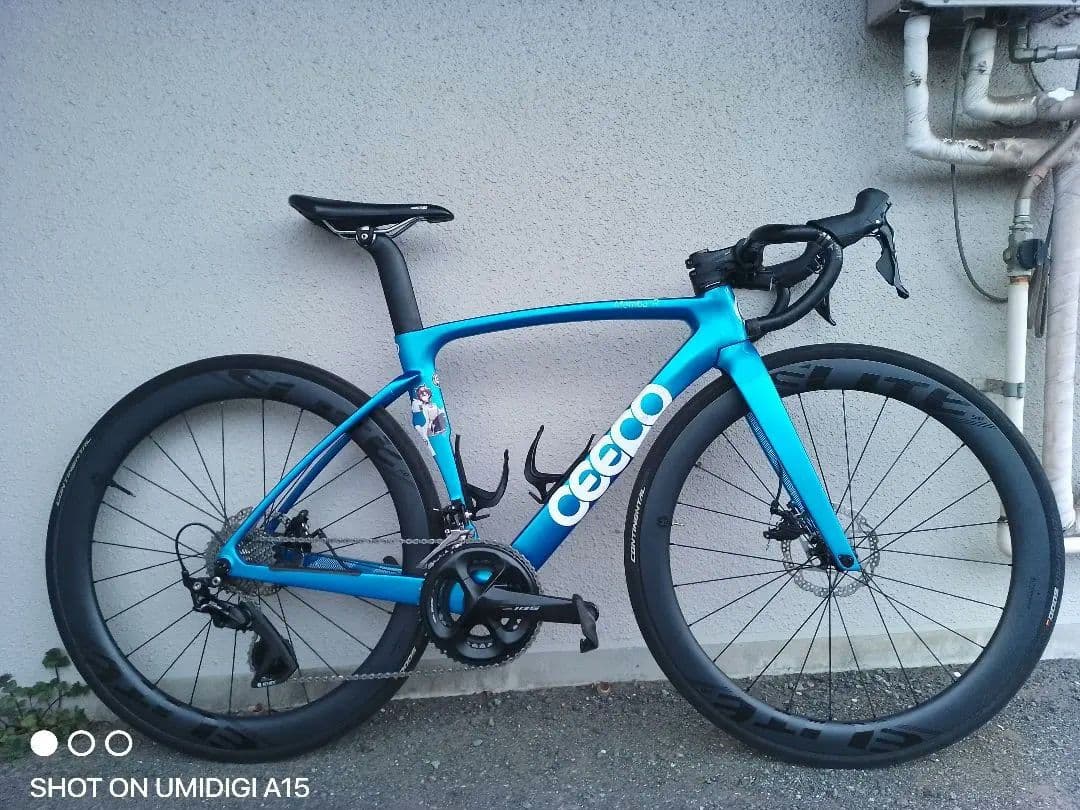 ceepo(しーぽ) mamba-rフレームセットディスク、