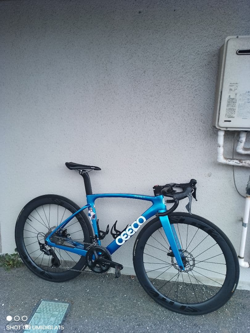 ceepo(しーぽ) mamba-rフレームセットディスク、