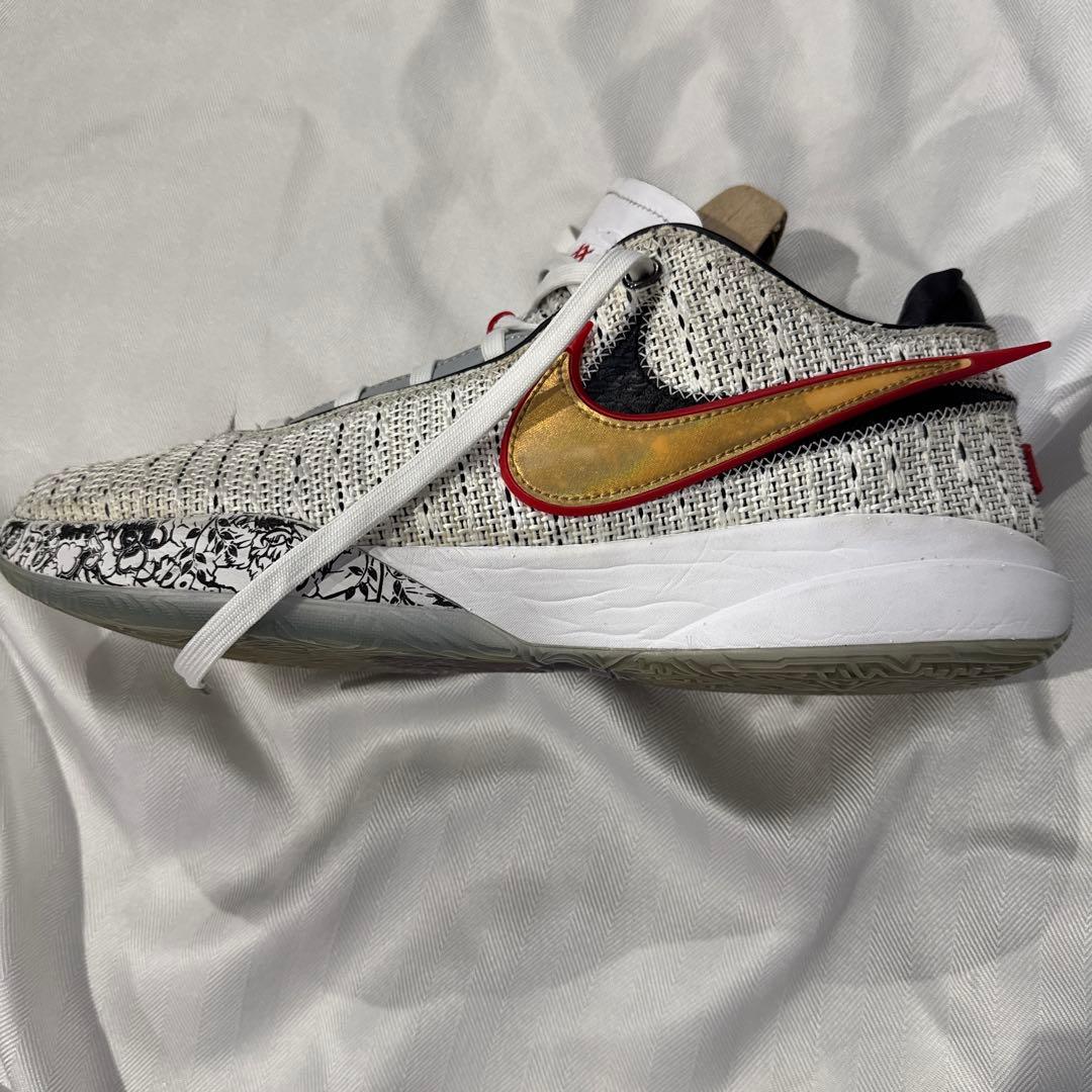 NIKE LEBRON 20 EP サイズ30cm