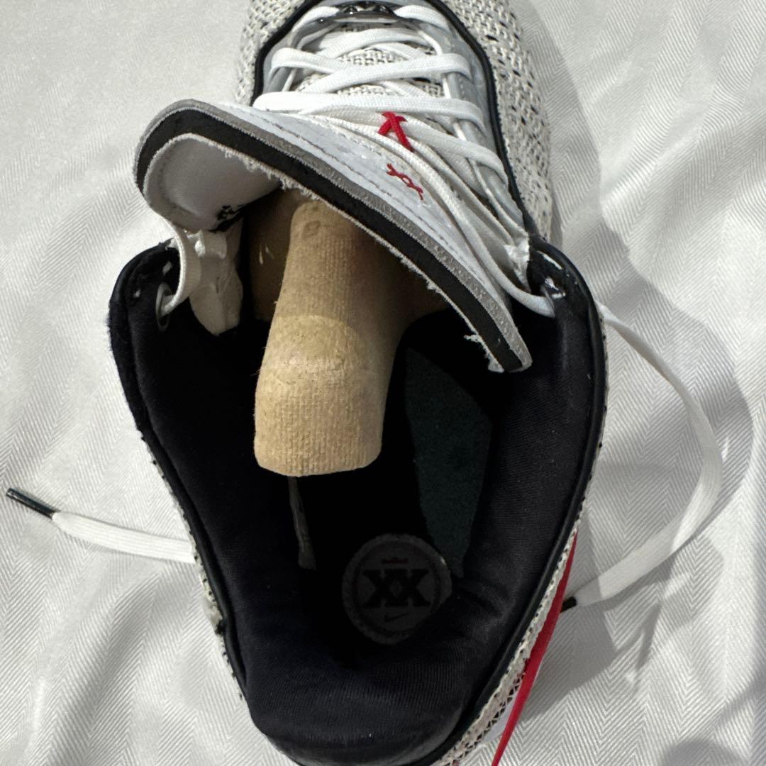 NIKE LEBRON 20 EP サイズ30cm